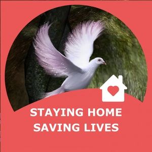 Meet your Posher, Jeannie